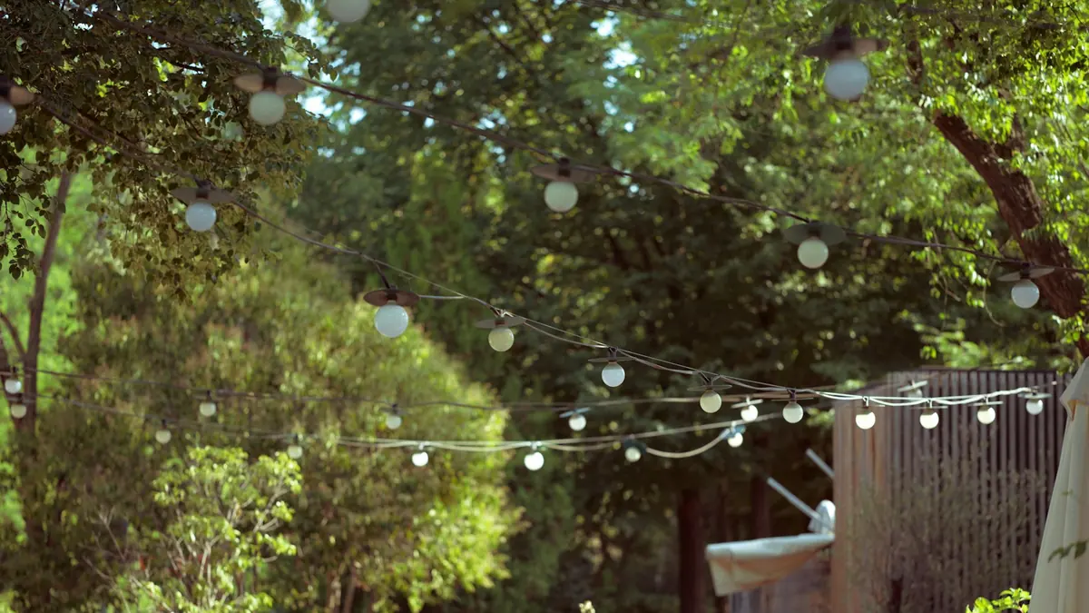 Inspiración: luces